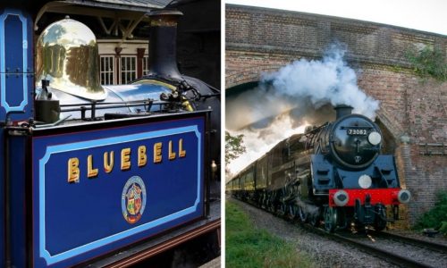 Bluebell Railway opts for Harlequin CRM Web